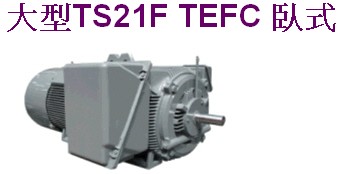 TATUNG大同電機油壓機射出成型機調(diào)速機